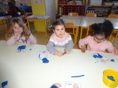 DSC00377.JPG