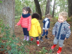 DSC09863.JPG