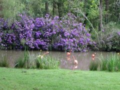 DSC09435.JPG