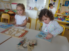 DSC01088.JPG