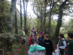 DSC01436.JPG