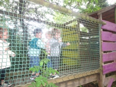 DSC02361.JPG