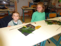 DSC00015.JPG